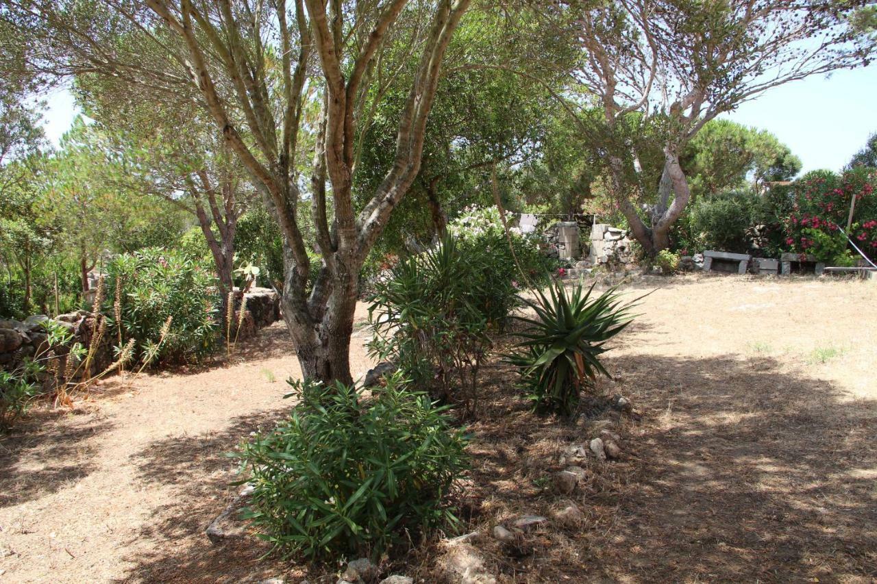 Bed and Breakfast Le 25 Tartarughe à Santa Teresa Gallura Extérieur photo