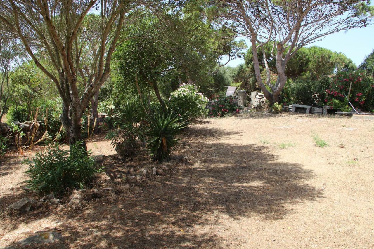 Bed and Breakfast Le 25 Tartarughe à Santa Teresa Gallura Extérieur photo