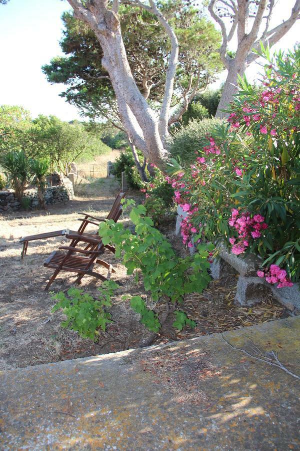 Bed and Breakfast Le 25 Tartarughe à Santa Teresa Gallura Extérieur photo