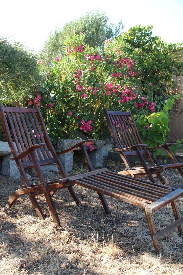 Bed and Breakfast Le 25 Tartarughe à Santa Teresa Gallura Extérieur photo